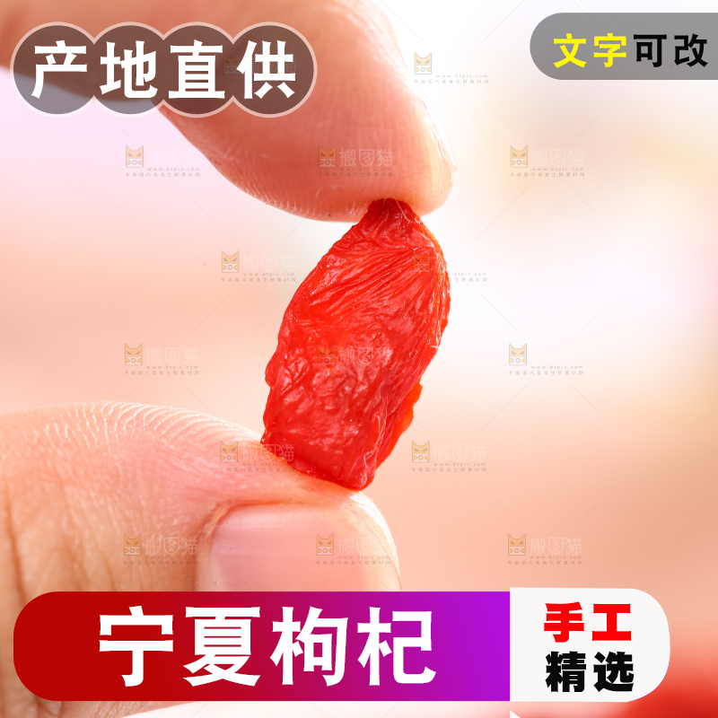 浅底上的宁夏红枸杞