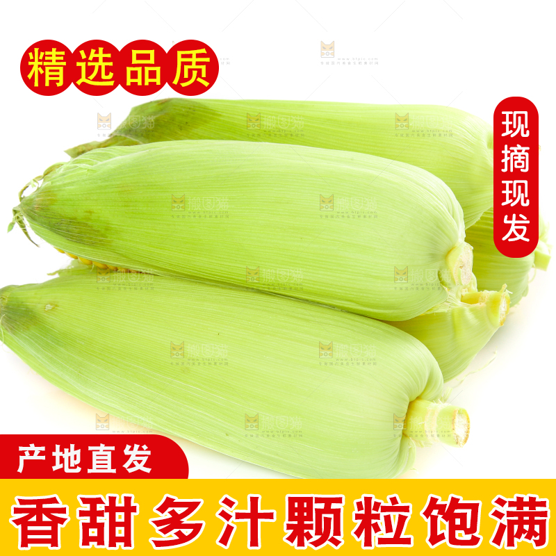 白底上的水果玉米