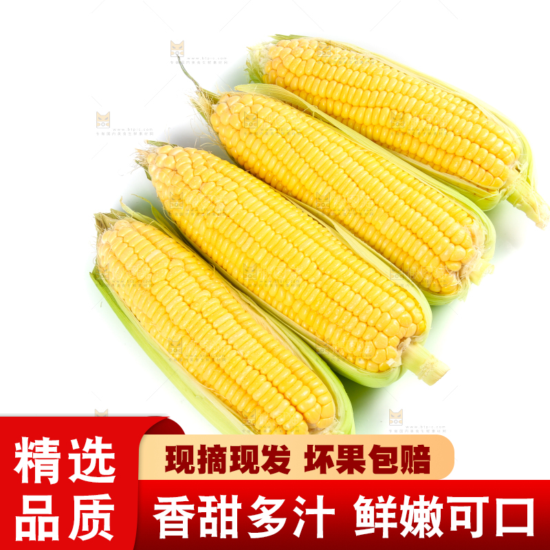 白底上的水果玉米