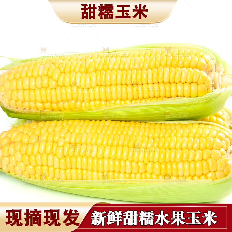 白底上的水果玉米