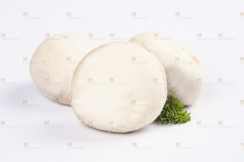 白底上的口蘑