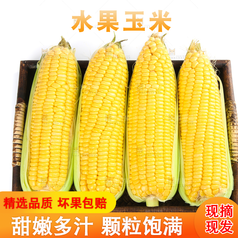 白底上的水果玉米