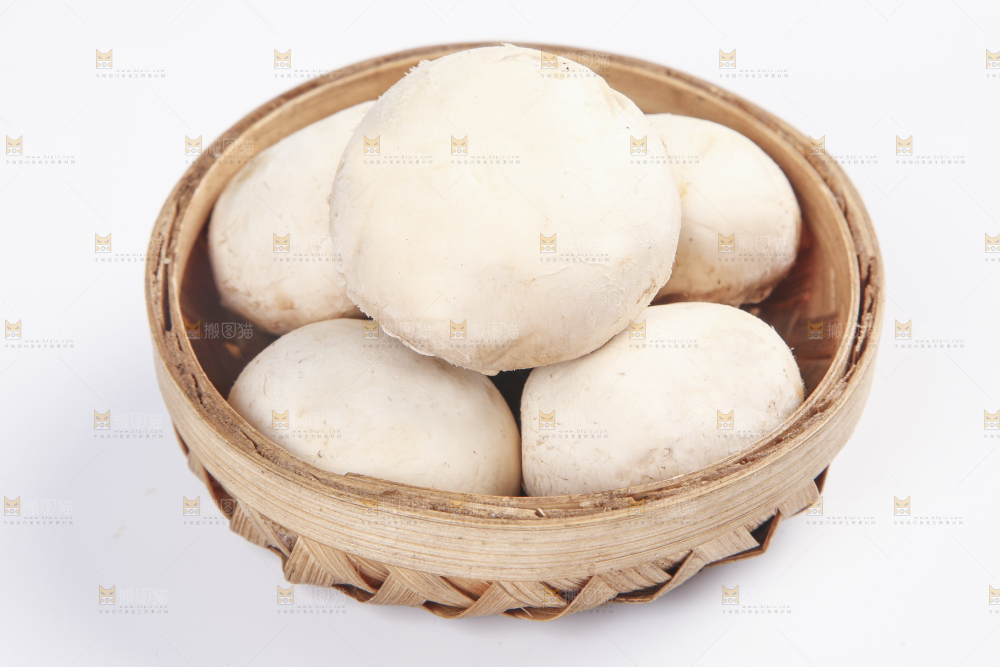 白底上的口蘑