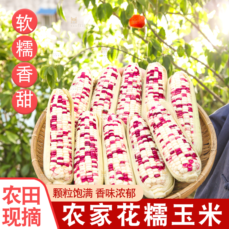 手里拿着花糯玉米