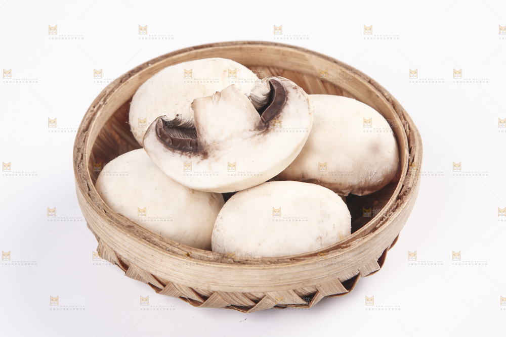 白底上的口蘑