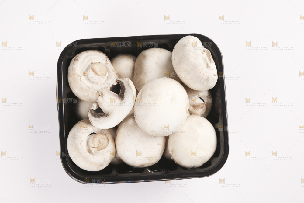 白底上的口蘑