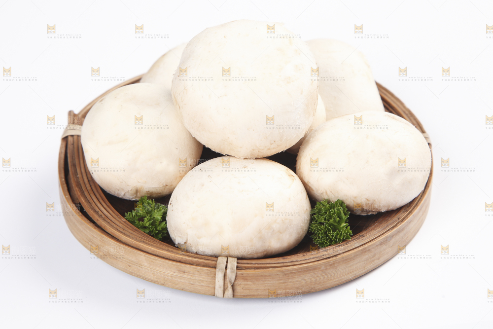白底上的口蘑