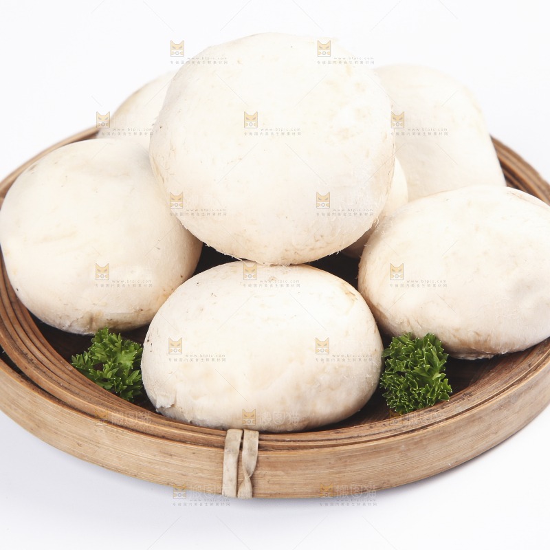 白底上的口蘑