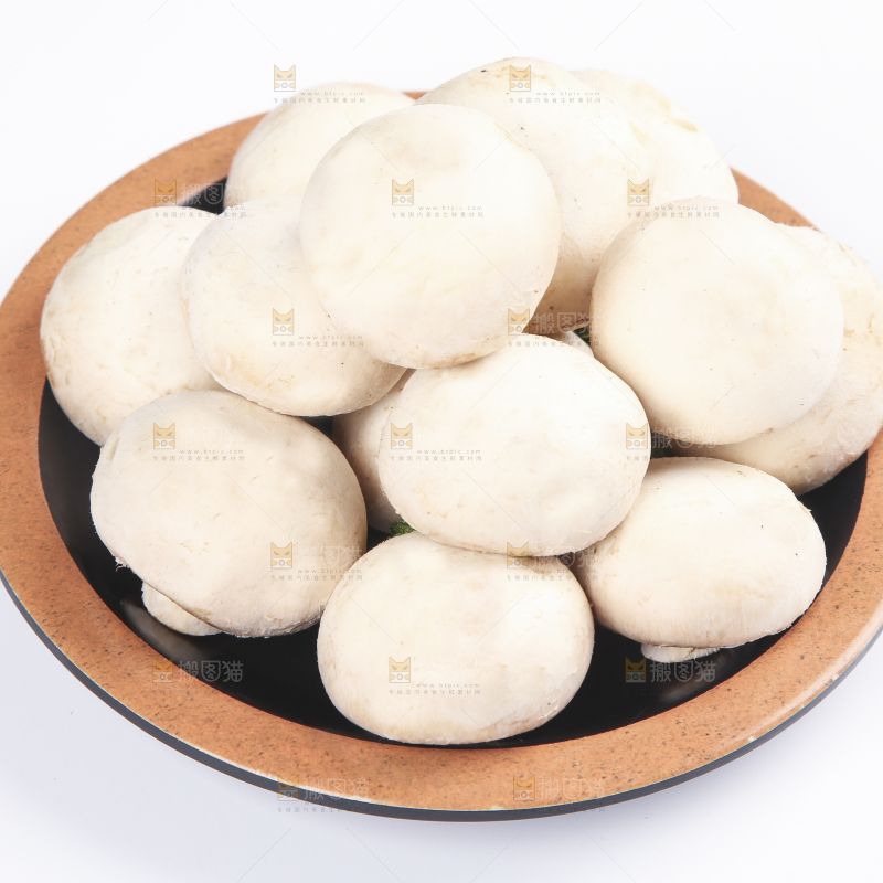 白底上的口蘑