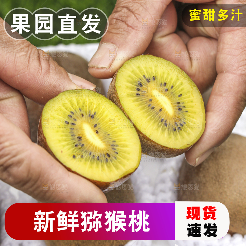 手里拿着新鲜猕猴桃