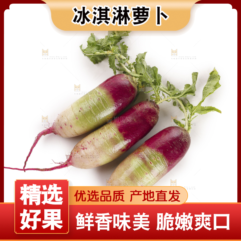 白底上的冰淇淋萝卜