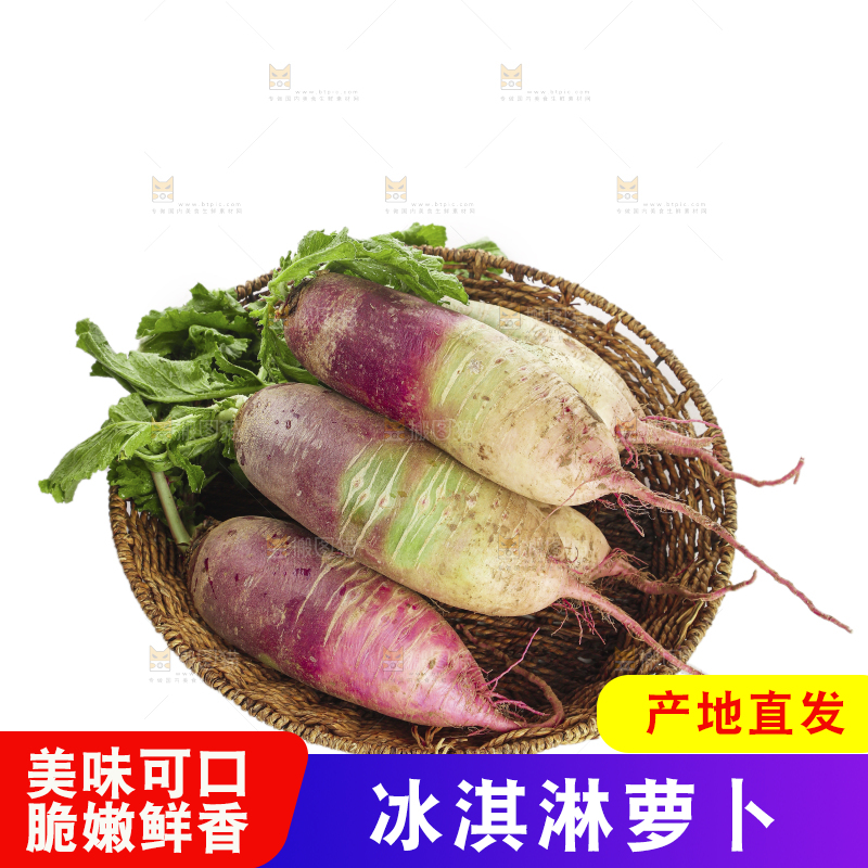 白底上的冰淇淋萝卜