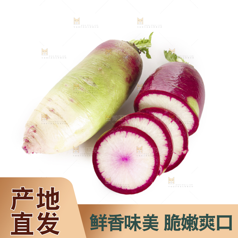 白底上的冰淇淋萝卜