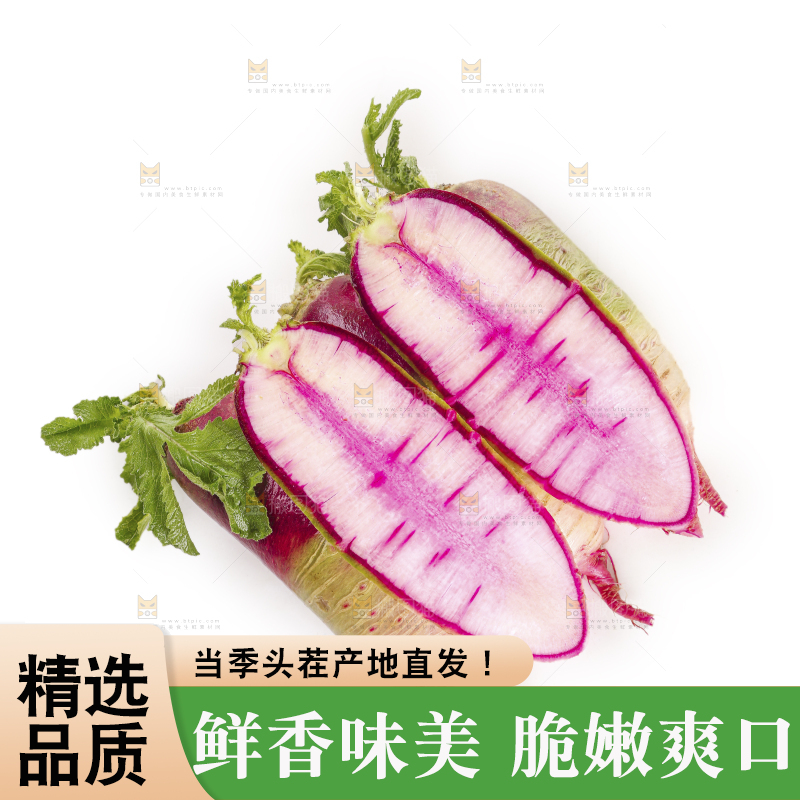 白底上的冰淇淋萝卜
