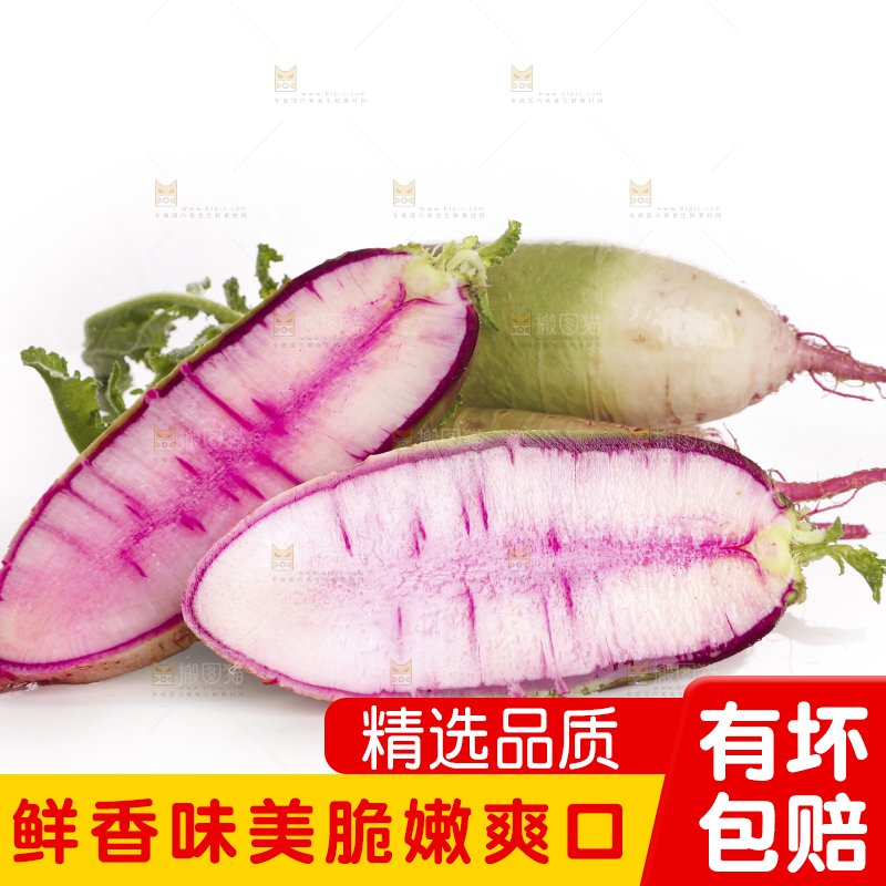 白底上的冰淇淋萝卜