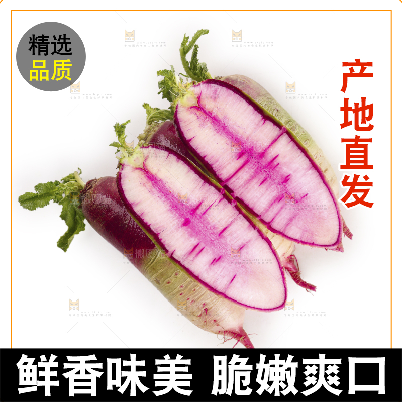 白底上的冰淇淋萝卜