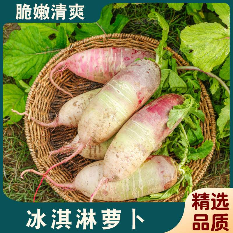 手里拿着冰淇淋萝卜