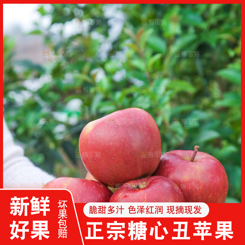 木底上的糖心苹果