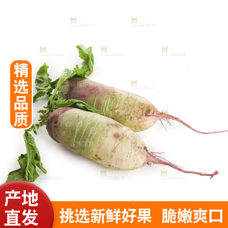 白底上的冰淇淋萝卜