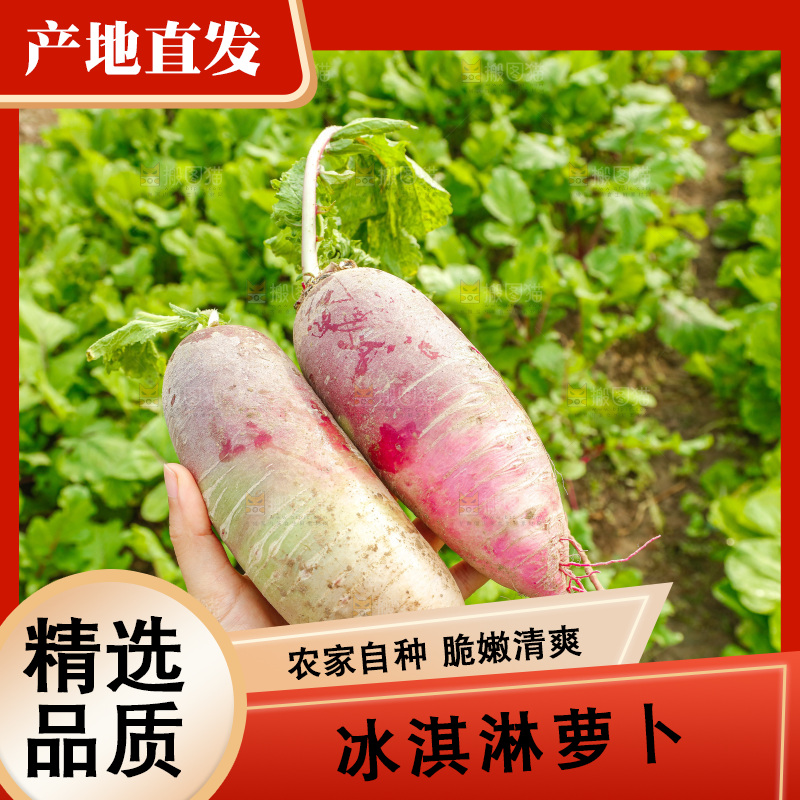 手里拿着冰淇淋萝卜