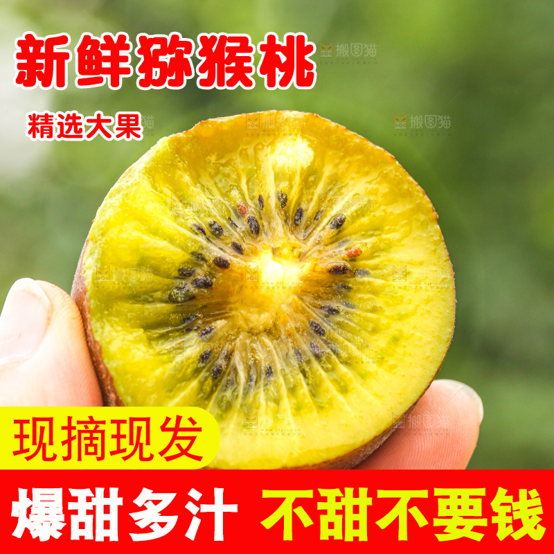 手里拿着新鲜猕猴桃