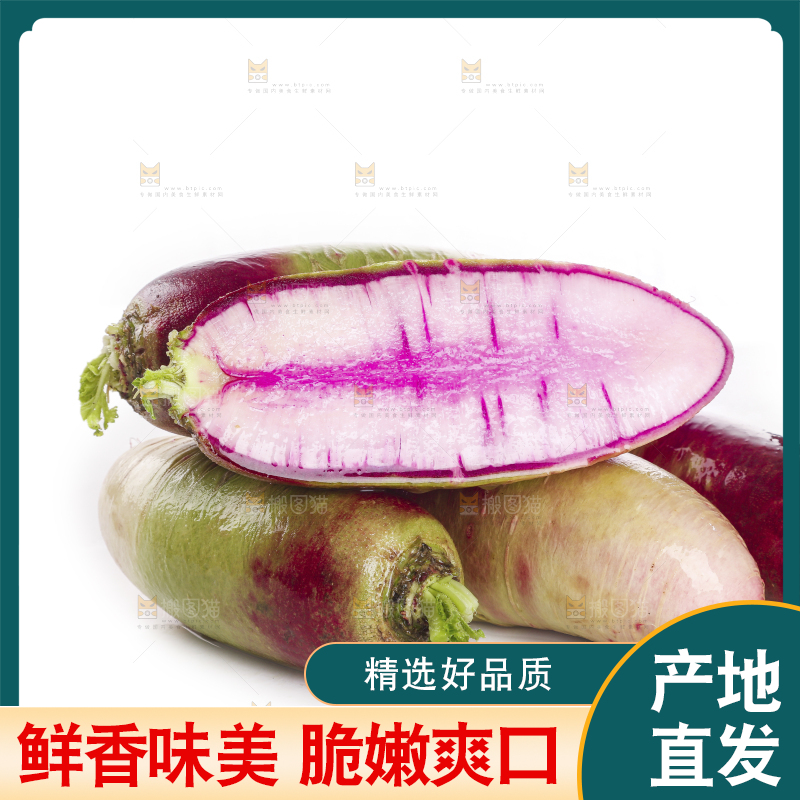 白底上的冰淇淋萝卜