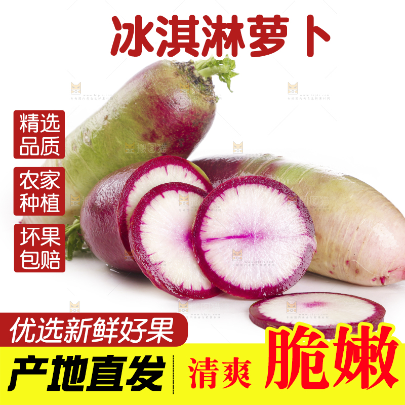 白底上的冰淇淋萝卜