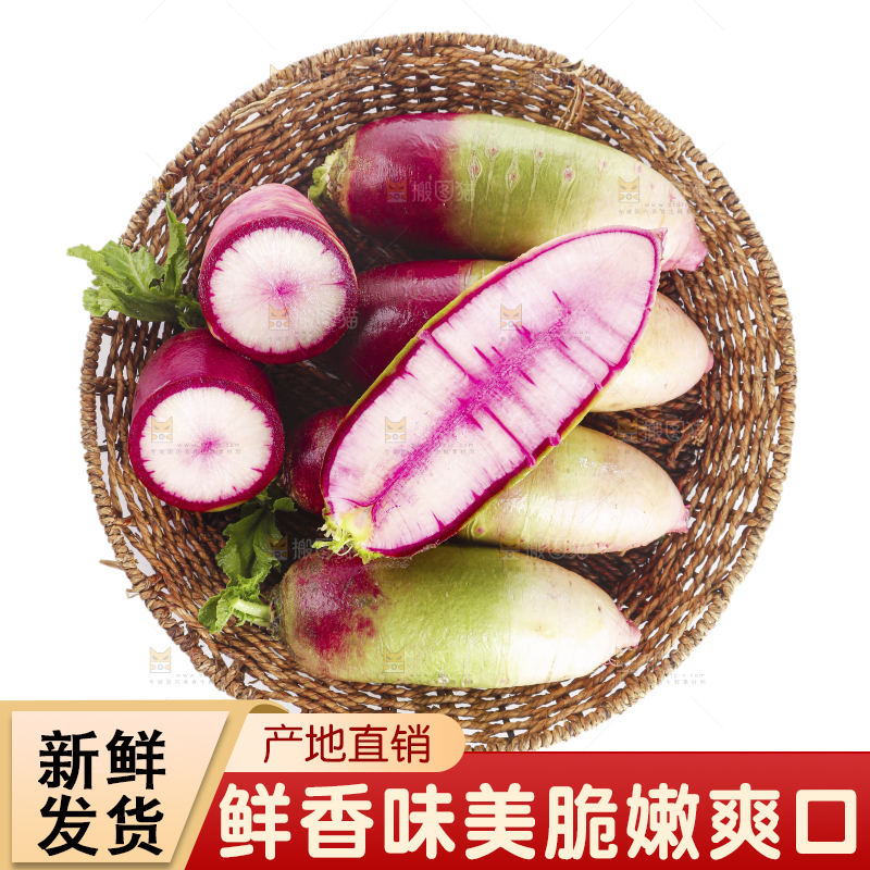 白底上的冰淇淋萝卜