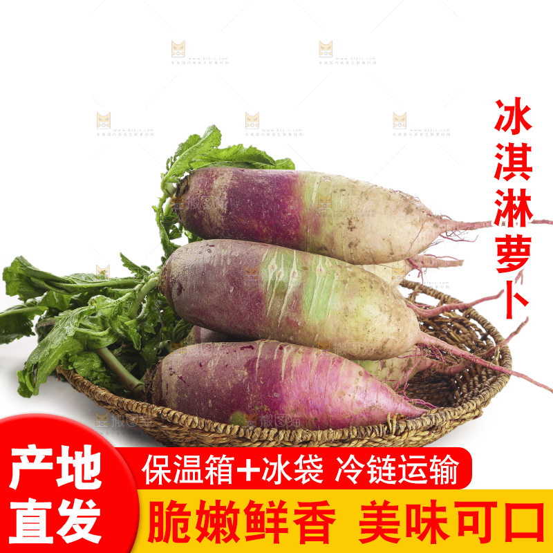 白底上的冰淇淋萝卜