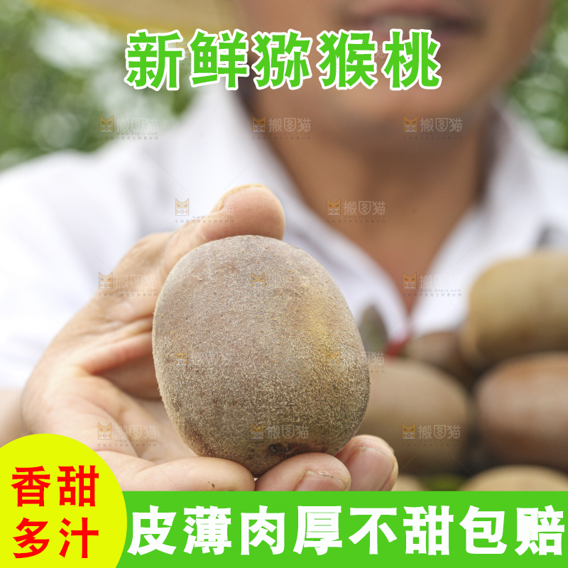 手里拿着新鲜猕猴桃