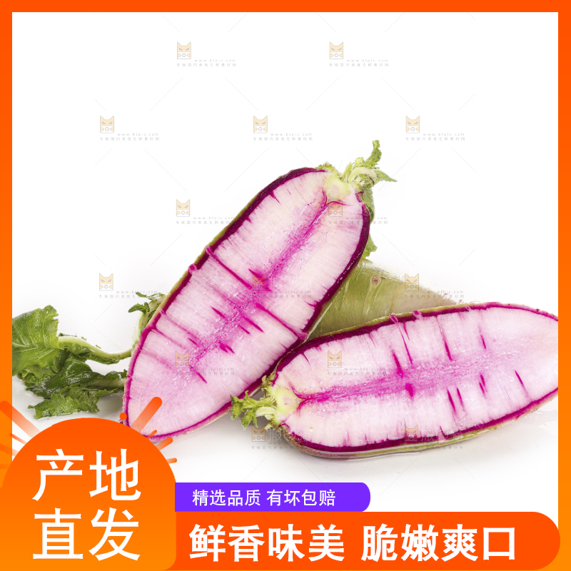 白底上的冰淇淋萝卜