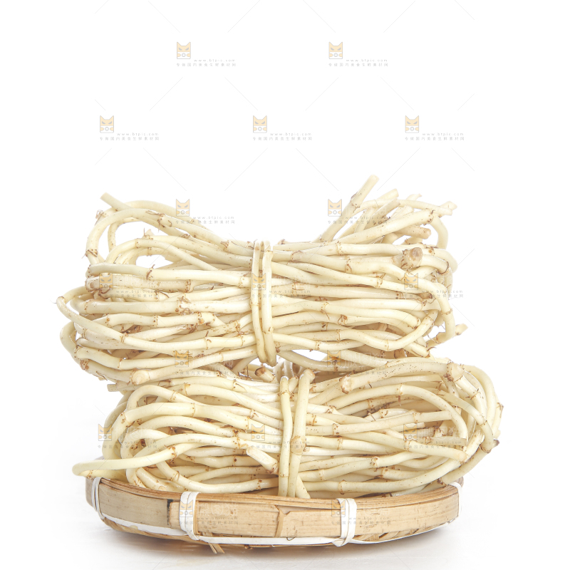 白底上的折耳根
