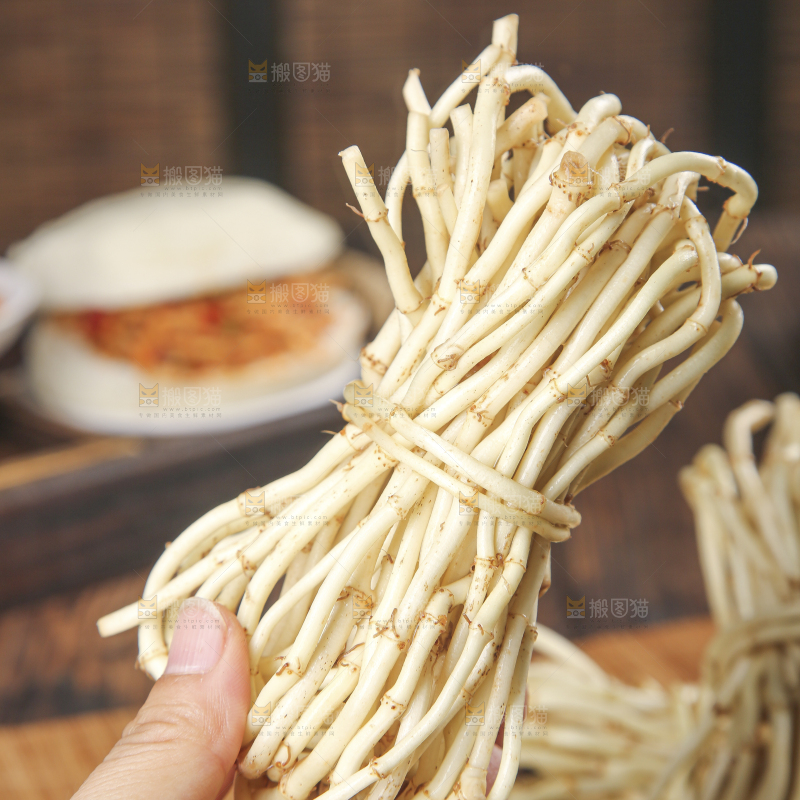 木底上的折耳根