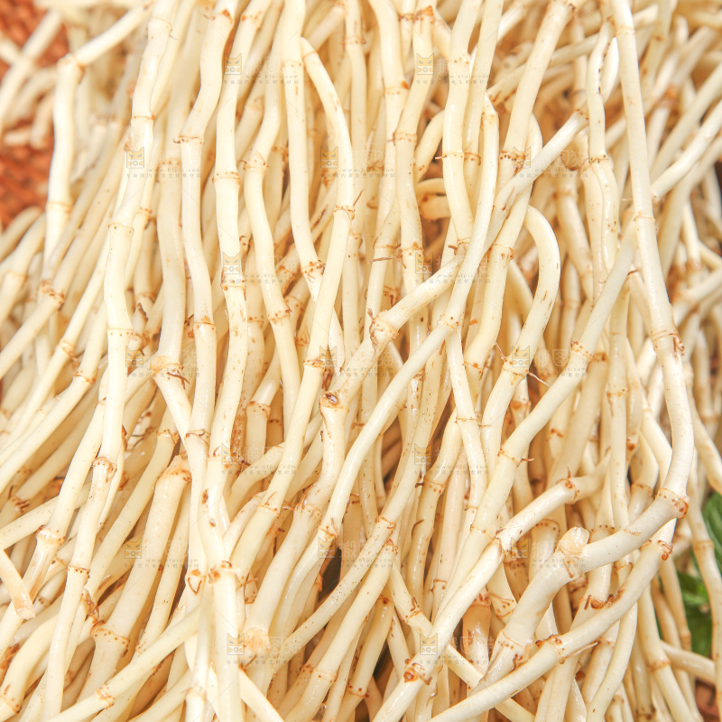 木底上的折耳根