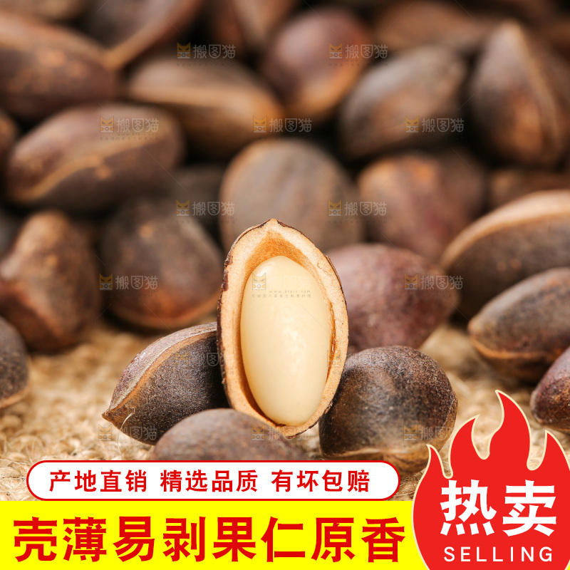 深底上的新鲜松子