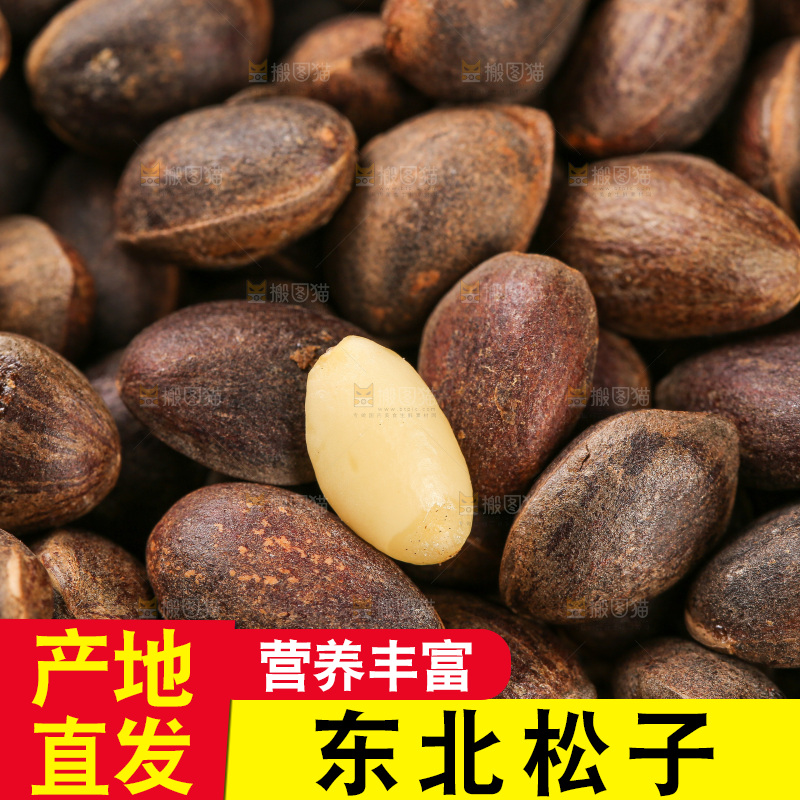 深底上的新鲜松子