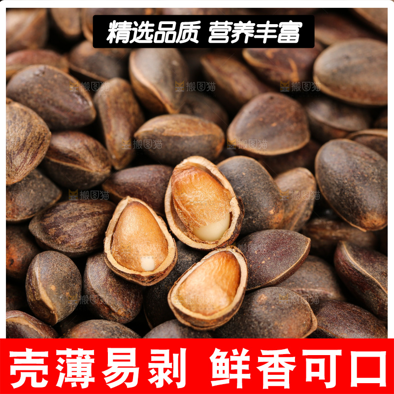 深底上的新鲜松子