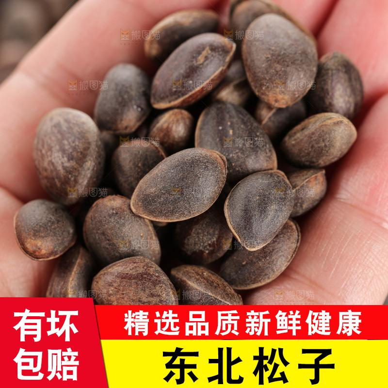深底上的新鲜松子