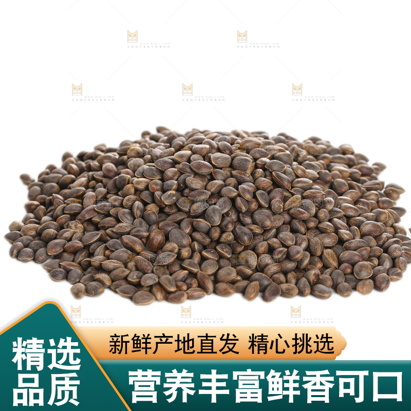 白底上的新鲜松子