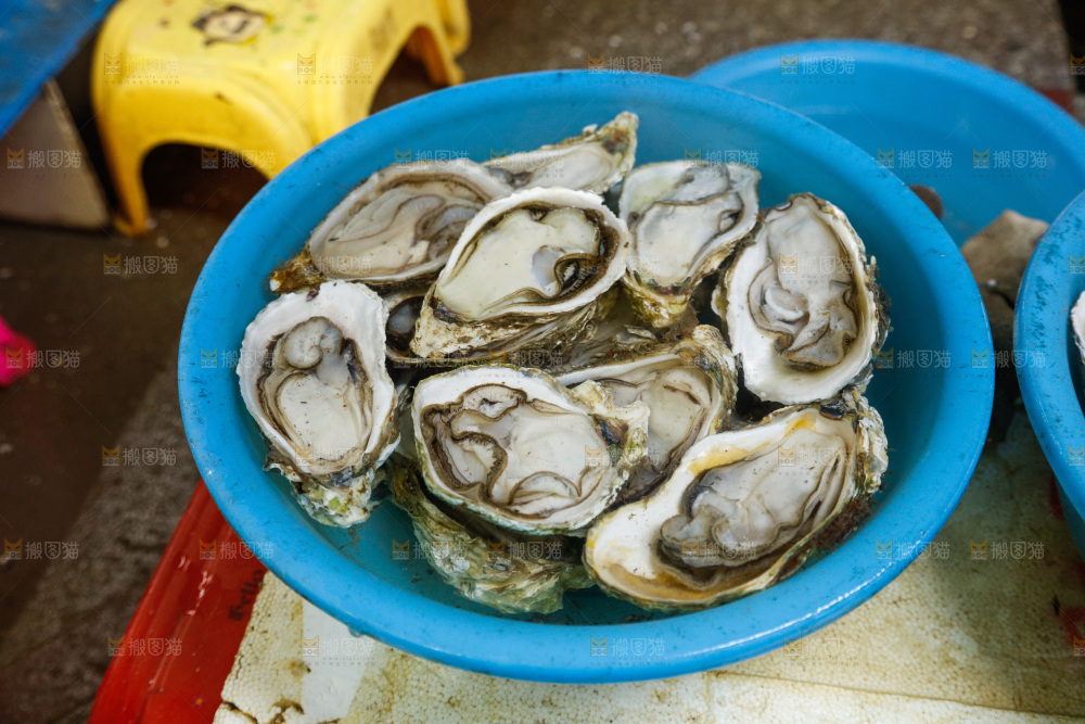 海鲜市场鲜活生蚝