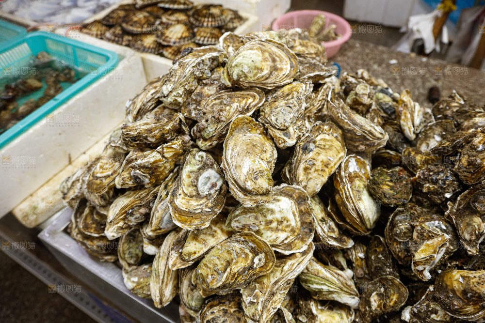 海鲜市场鲜活生蚝