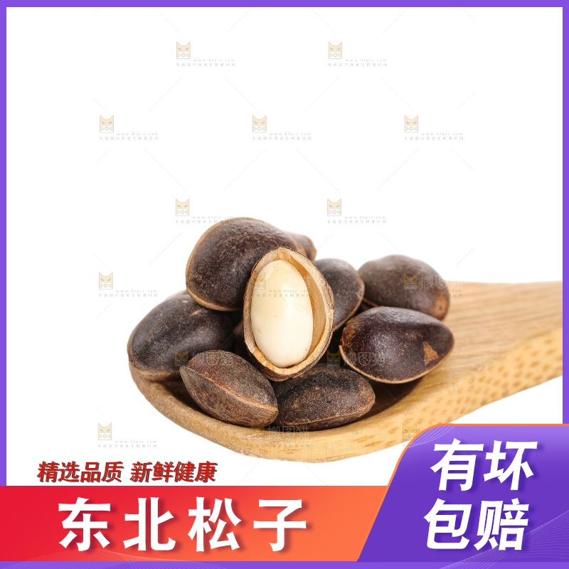 白底上的新鲜松子