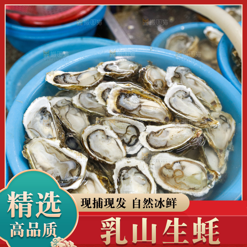 海鲜市场鲜活生蚝