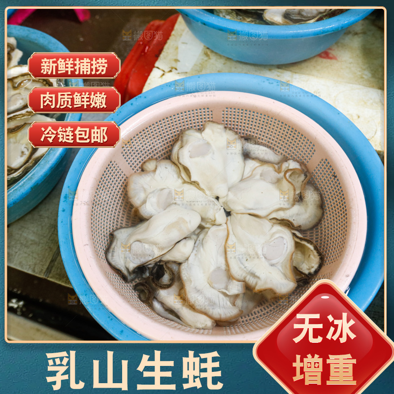 海鲜市场鲜活生蚝