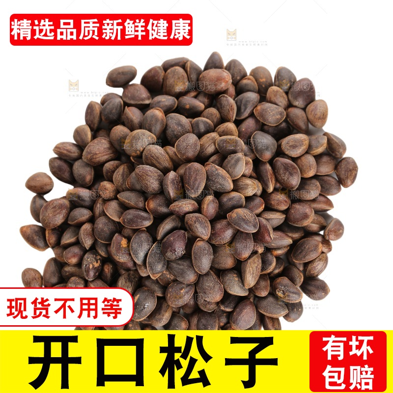 白底上的新鲜松子