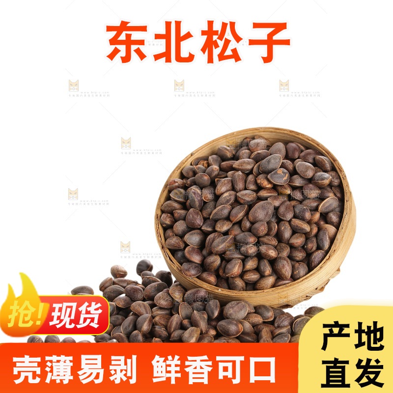 白底上的新鲜松子