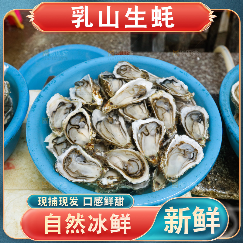 海鲜市场鲜活生蚝