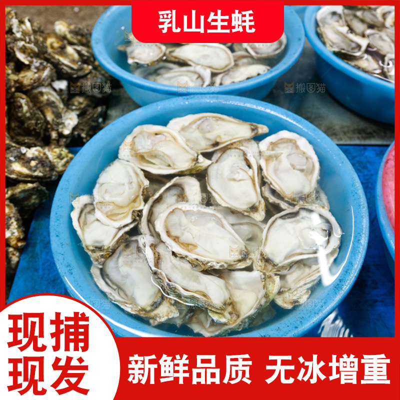 海鲜市场鲜活生蚝