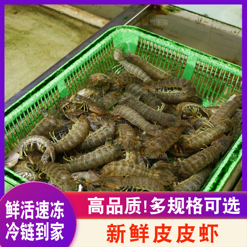 皮皮虾水产