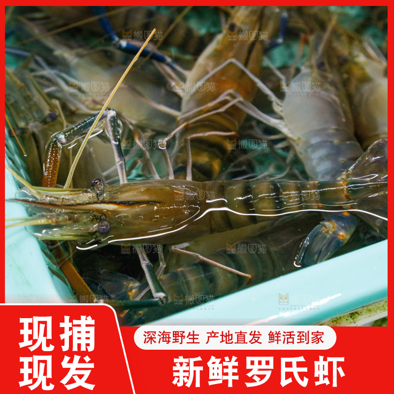 海鲜市场罗氏虾